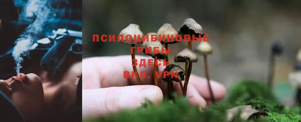 экстази Армянск