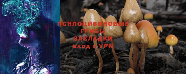 ALPHA PVP Аркадак